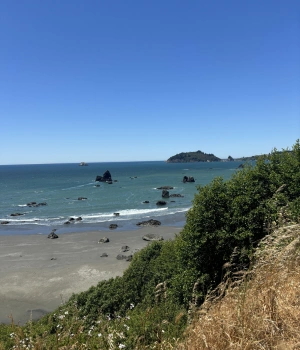 Image of Northern California coast, Humboldt County, California