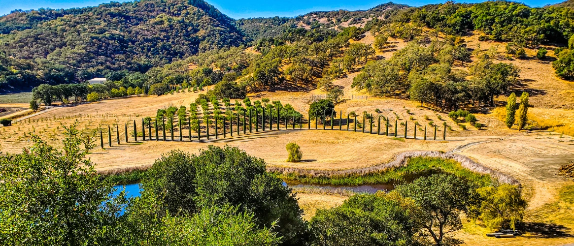 Image of Wine Country Scenery in Mendocino County of Northern California